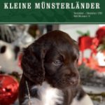Titel6-2015
