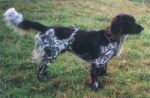 01-0406_Harro_Drebenholt