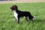 01-0508_Alf_Galenberg