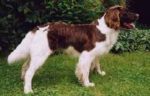 01-0545_Artus_Widbach