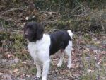 01-0970_Birko_Achental