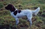 02-0160_Ulf_Rehfalkenhorst