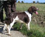 02-0318_Benno_Keltenschantze