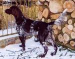 03-0209_Lasko_Rauschenbusch