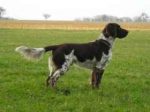 04-0040_Ayco_Jagsttal