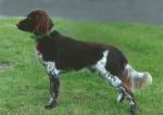 04-0609_Leroy_Drebenholt
