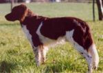 04-0677_Aron_Duerren_Grund