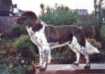 04-0766_Charly_Vechtetal