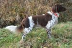 Xero von der Innleit’n