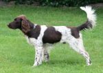 Cody von der Wieke