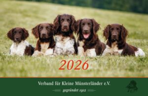 Jahreskalender 2026 - Bildkalender