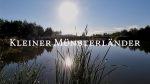 Kleiner-Muensterlaender-B-HZP-2022-HD